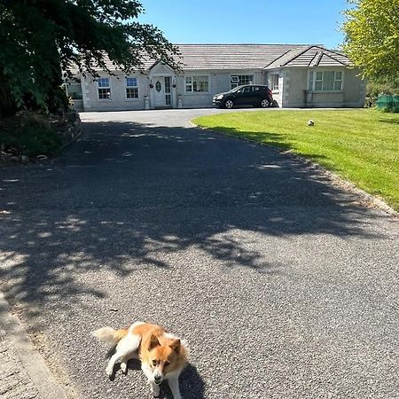 Graiguenamanagh Homestay Kültér fotó