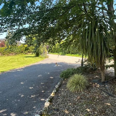 Graiguenamanagh Homestay Kültér fotó