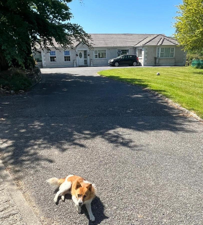 Graiguenamanagh Homestay Kültér fotó